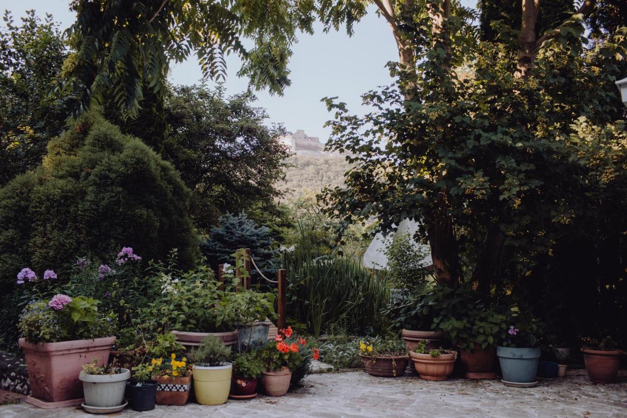 Vila Missy Ντέβα Εξωτερικό φωτογραφία